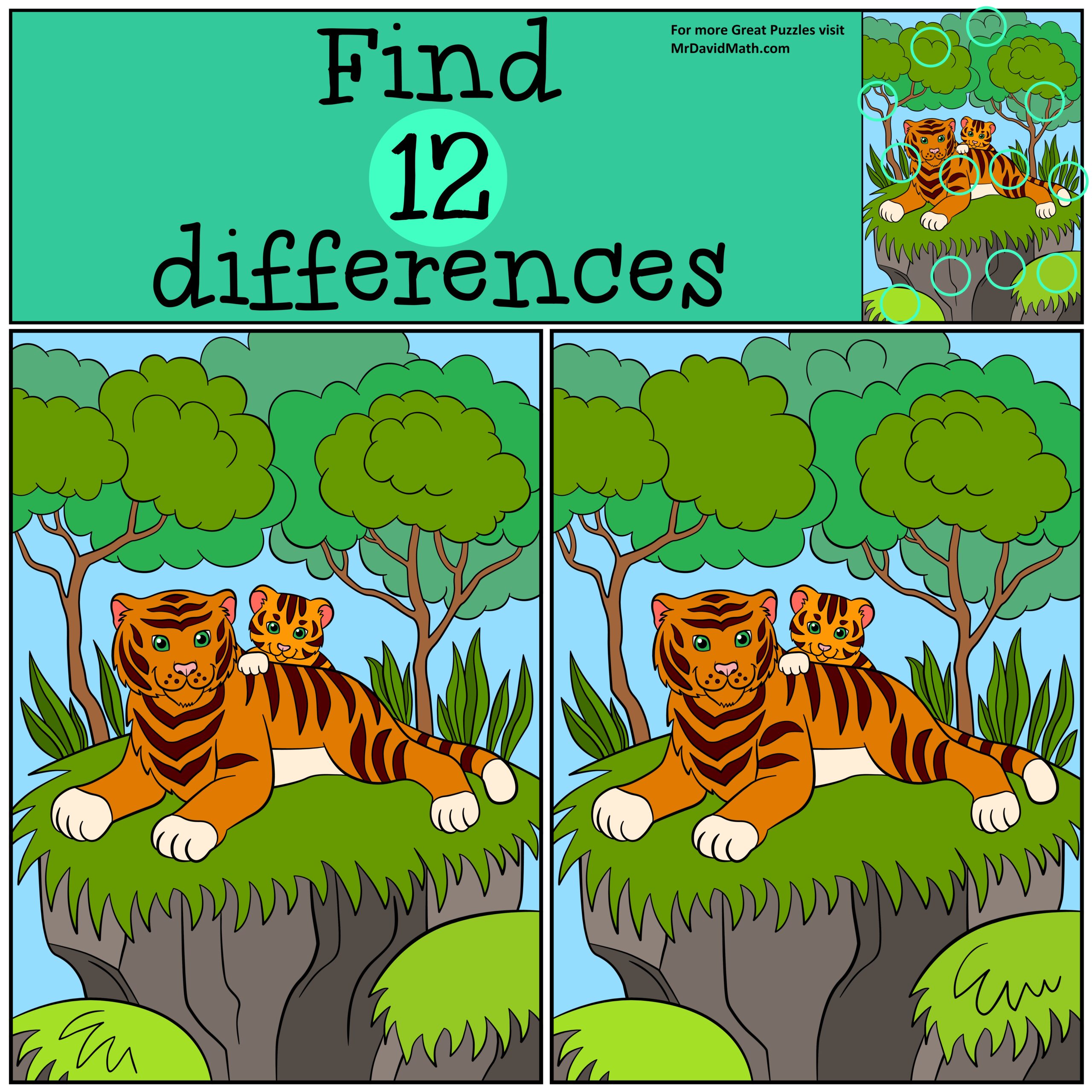 Spot the difference Medium – Mr David Math